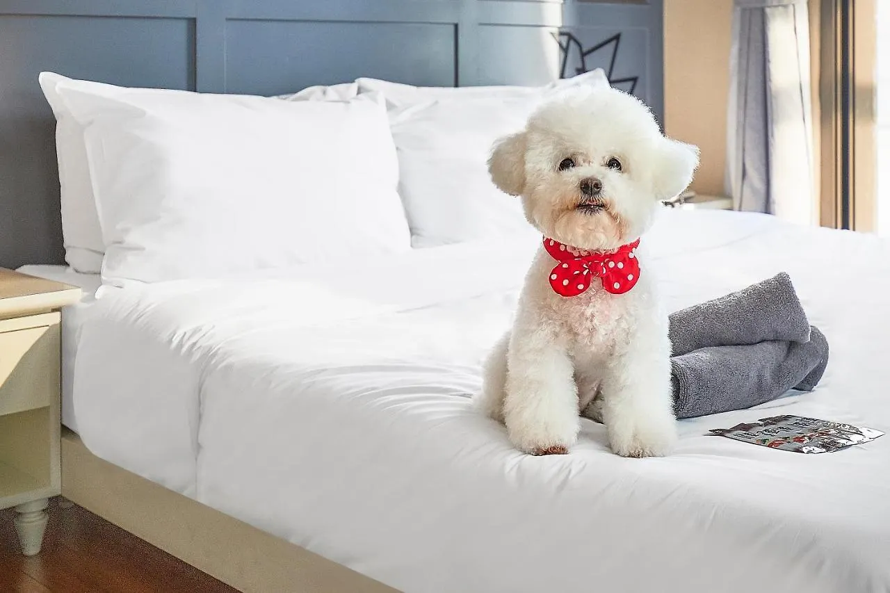Hotel Poco Seongsu Seoul